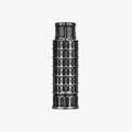 Pisa